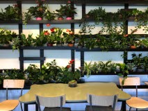 Ett bord i vågiga former med fyra stolar står framför en grönskande vägg med hundratals växter.