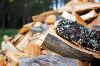 Bilden föreställer en hög med ved