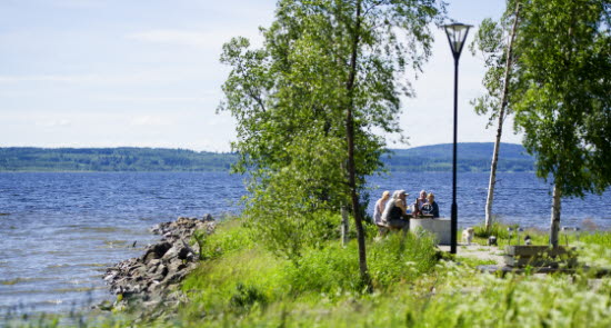 _DSC3699.jpg