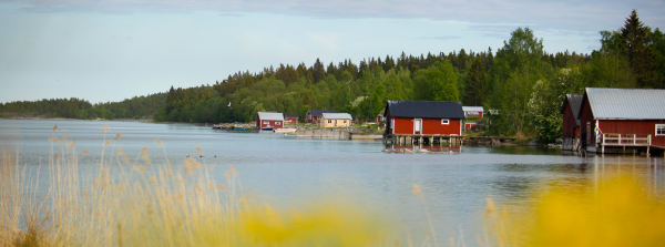 Åstön sommar