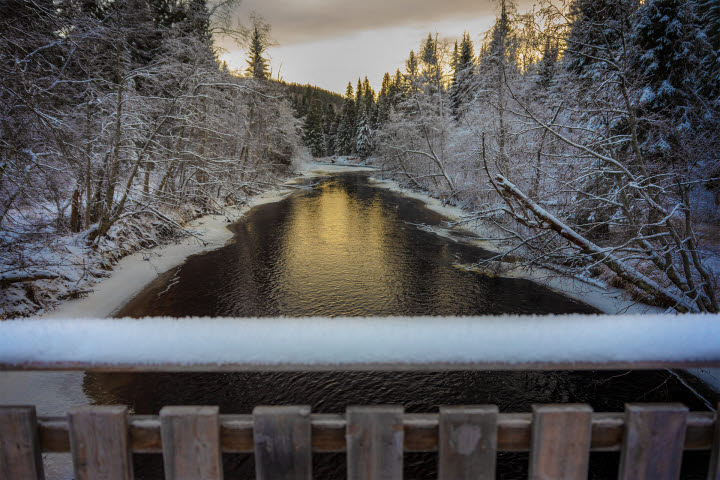 Mjällådalen på vintern