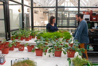 En kvinna och en man står i ett växthus. Gröna växter står på ett vitt bord framför dem.