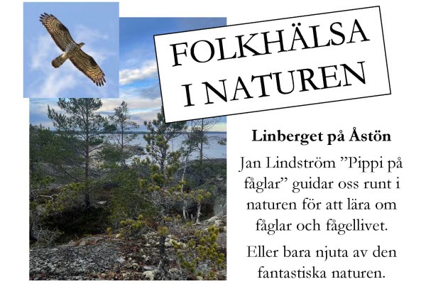 Bilden föreställer affisch med en naturbild från Linberget