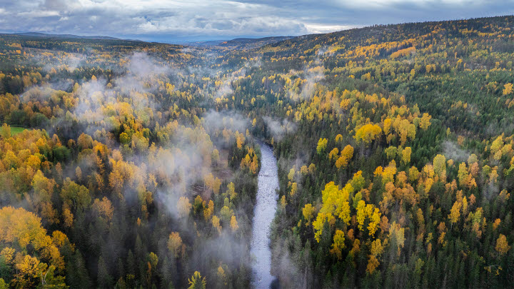 Flygbild över Mjällodalen