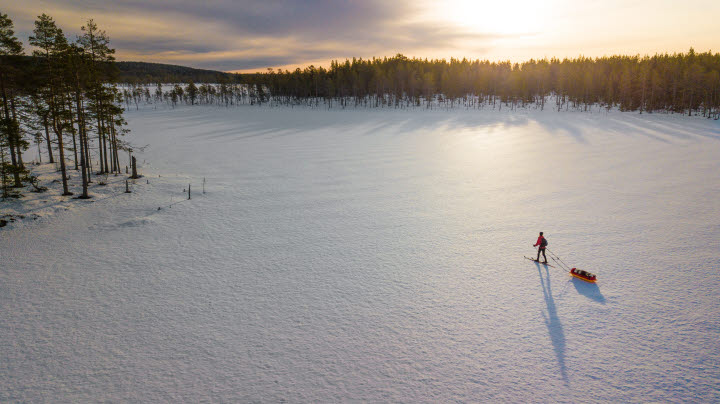 Korstjärnsmyran