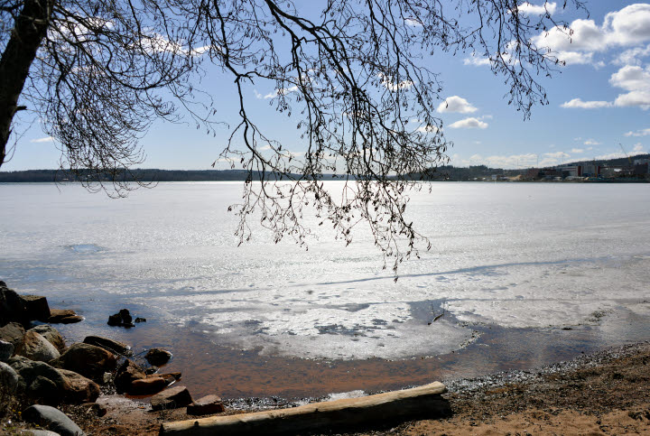 Bilden föreställer en strand
