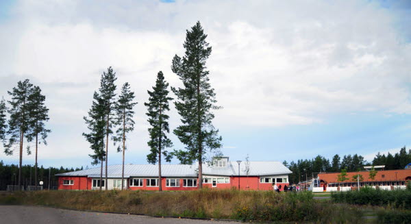 Två skolbyggnader placerad bland tallar. 