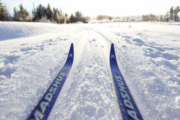Bilden föreställer ett par skidor som åker i ett skidspår en solig vinterdag