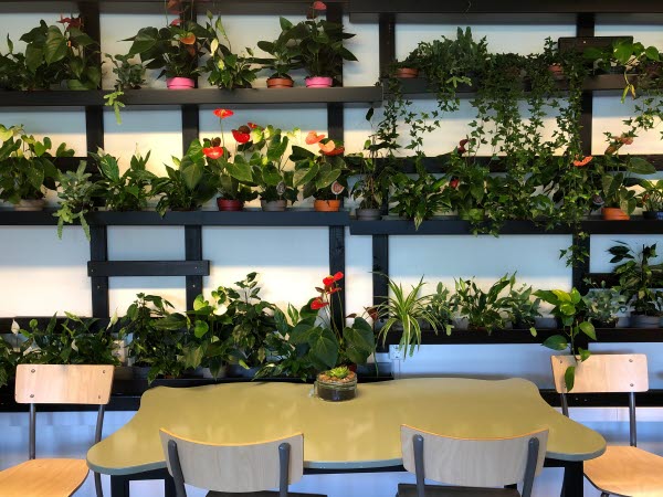 Ett bord i vågiga former med fyra stolar står framför en grönskande vägg med hundratals växter.