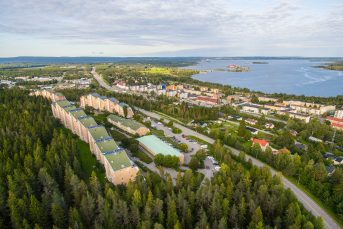 Bilden föreställer tre personer framför datorer