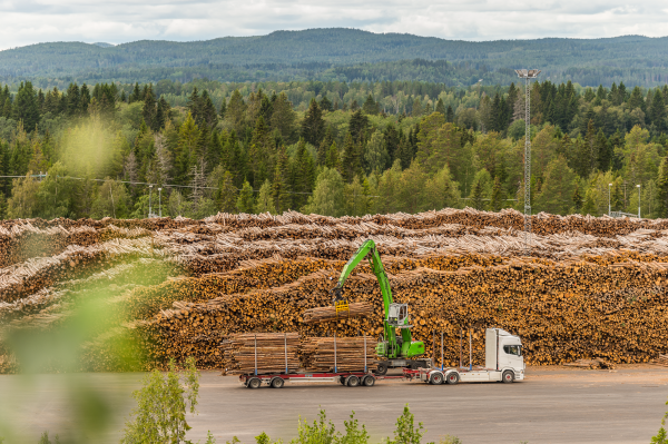 En lastbil lastar timmer på släp.