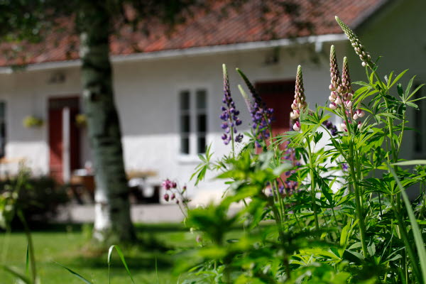 Bilden föreställer ett vitt hus vid Lögdö Bruk